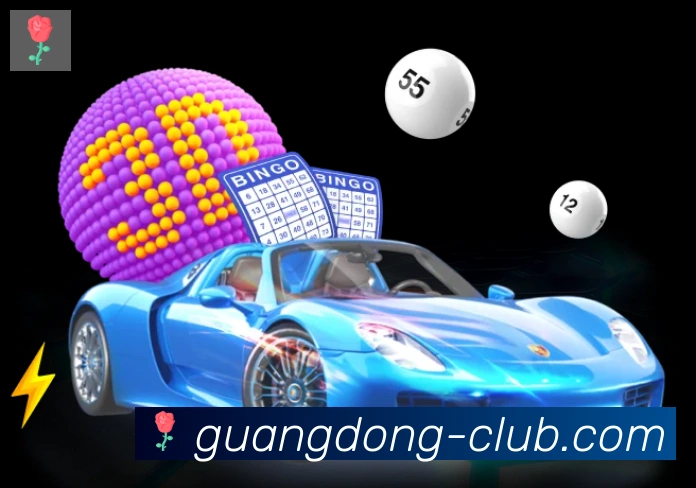 未来规划