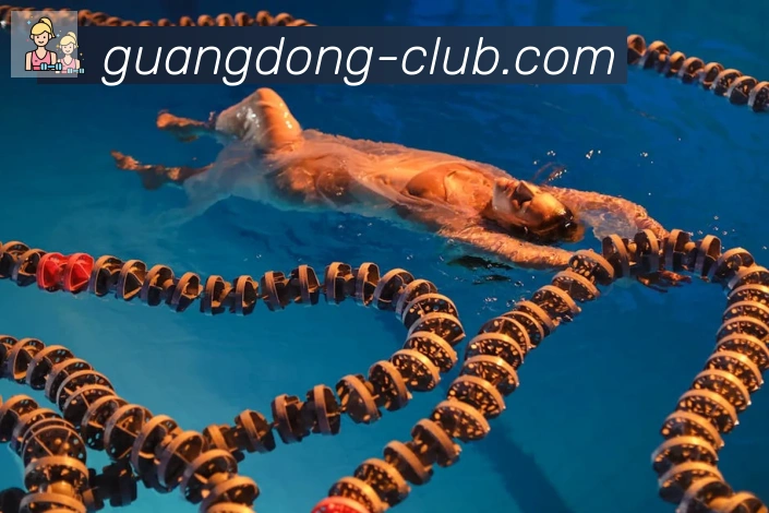广东体彩APP 体育赛事宣传图